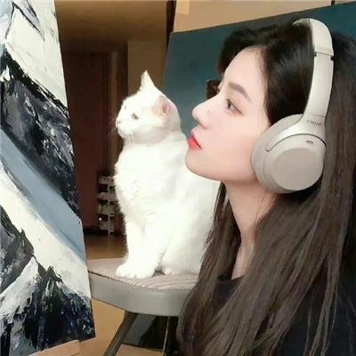 攻壳机动队：崛起4