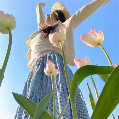 龙城小仵作第二季